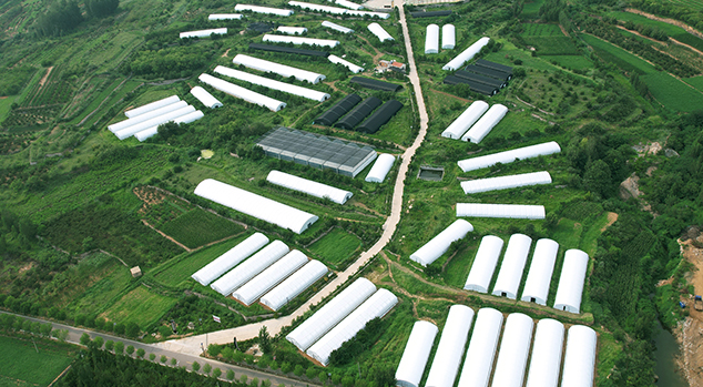 DJI_0056 (2) - 副本.JPG